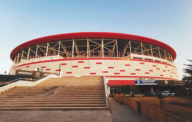 以提高运动 以提高运动