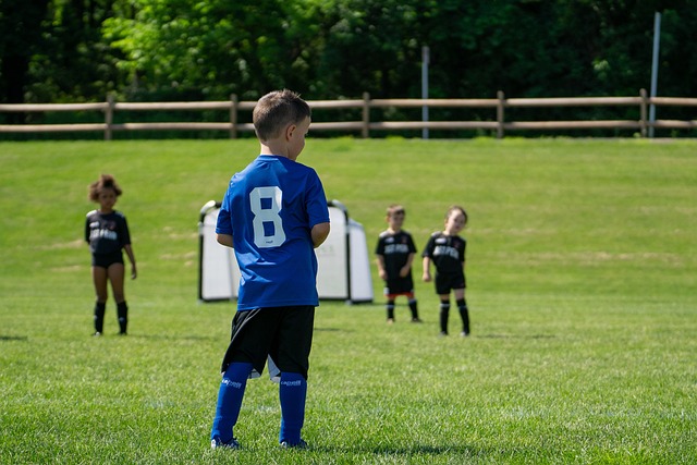 也常常利用 也常常利用