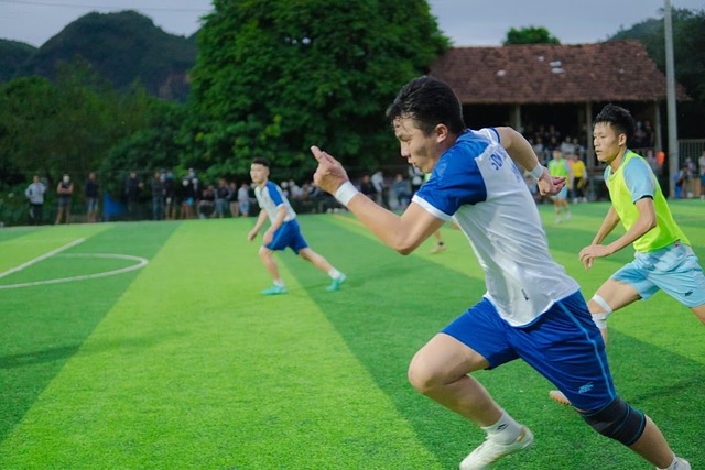 领域无可撼 领域无可撼