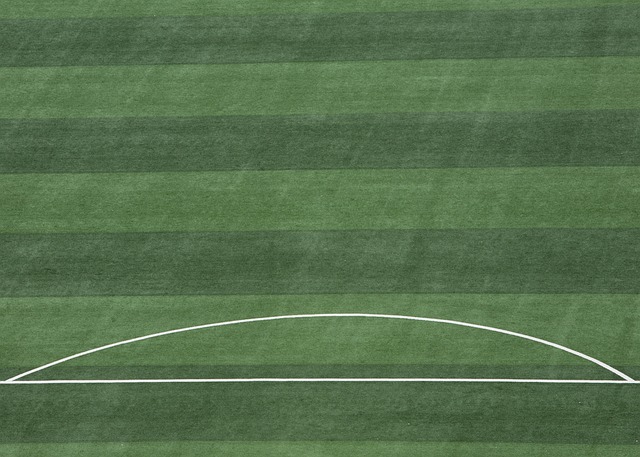 即便面对丹 即便面对丹