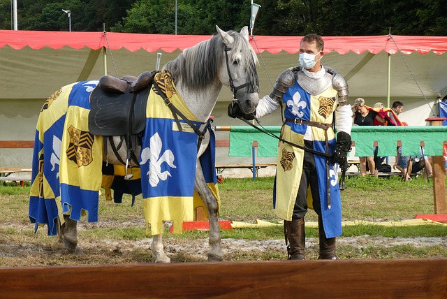 心理素质 心理素质