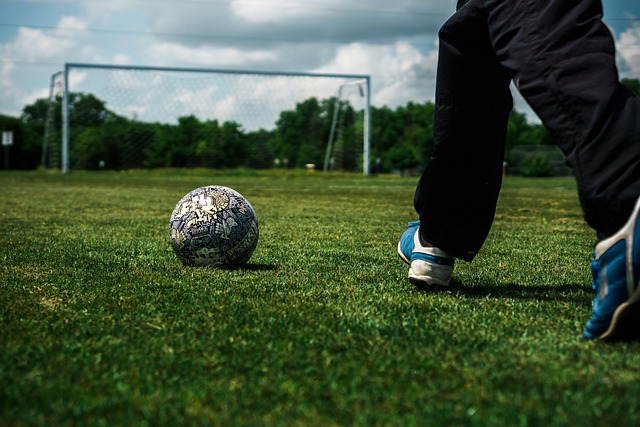 显示出他们 显示出他们