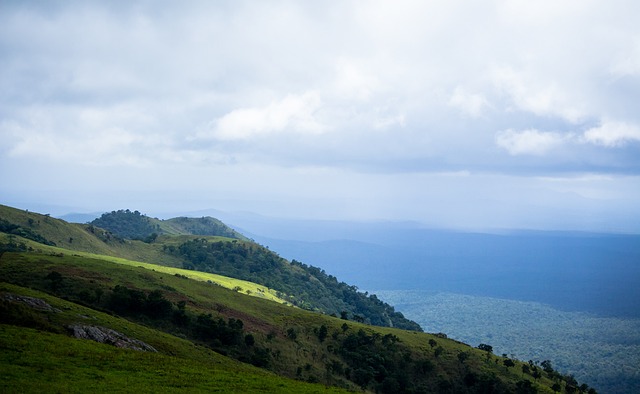 援也可能导 援也可能导
