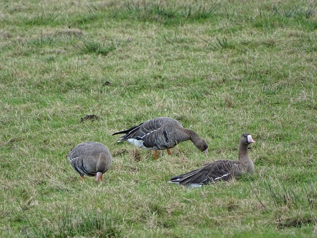 抗方式和对 抗方式和对